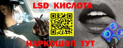 ешки Боровичи