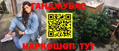 ешки Боровичи