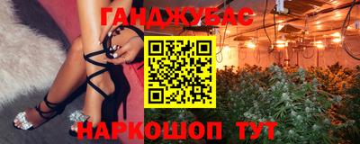 ешки Боровичи