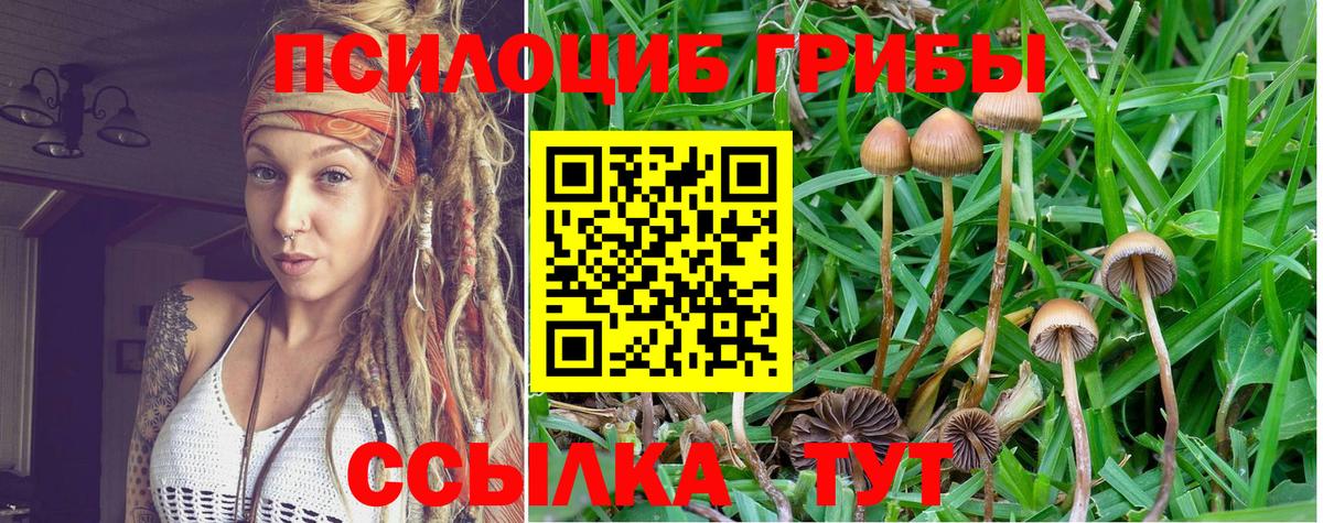 Галлюциногенные грибы Magic Shrooms Знаменск