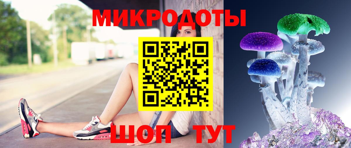 Знаменск  Псилоцибиновые грибы мухоморы  где купить наркотик  Вход с VPN 